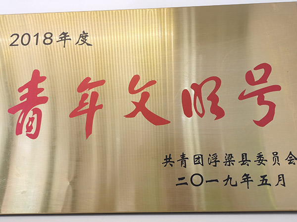 荣誉展示